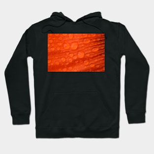 red rain Hoodie